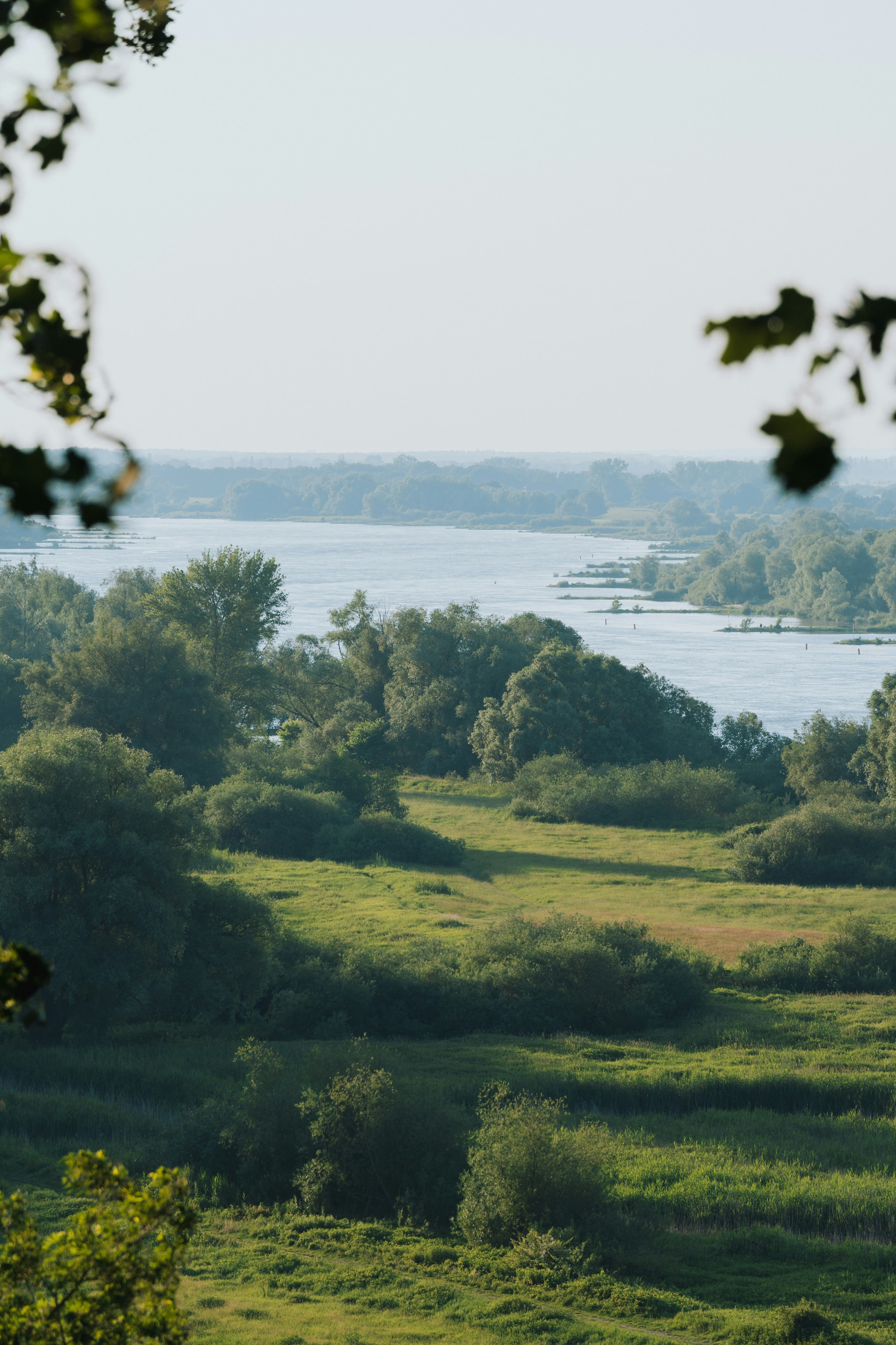 Die Elbe bei Bleckede